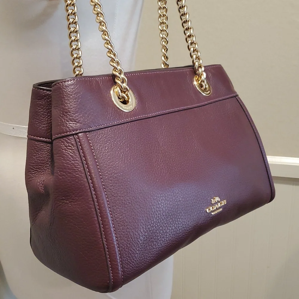 Coach Brooke Chain Carryall Bag - Picture 3 of 13